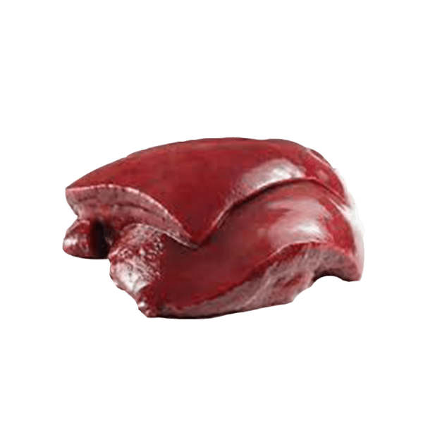 Ox Liver